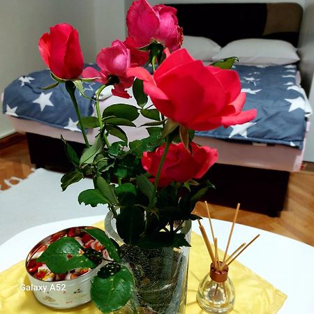 Apartman Pavle Плужине Екстер'єр фото